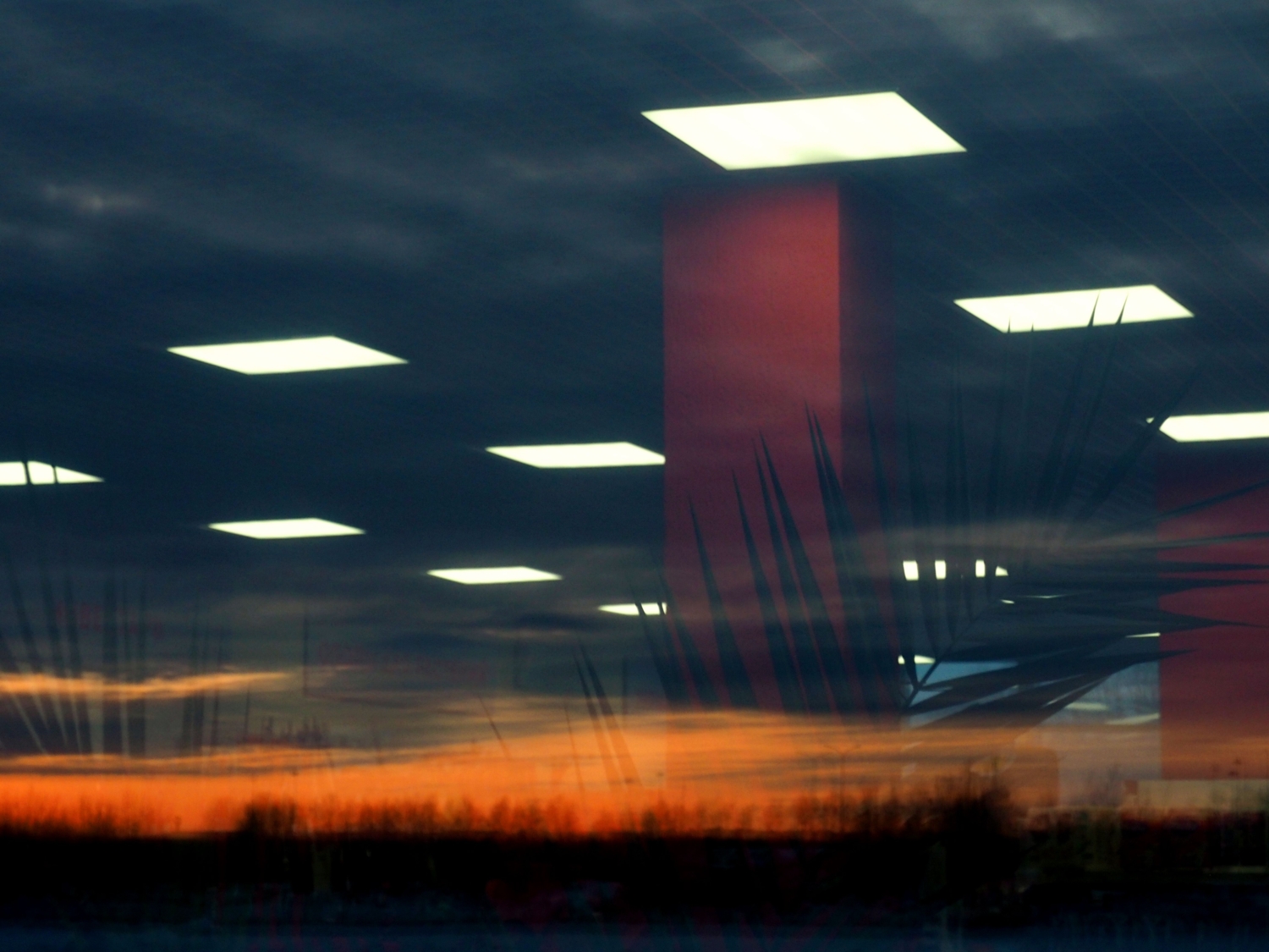 Пальмы на закате.