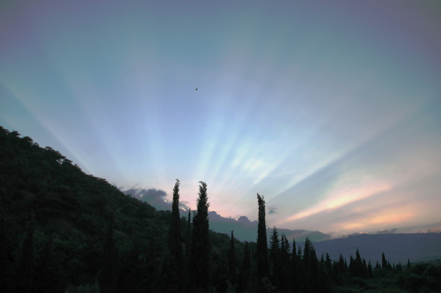 Последние ...