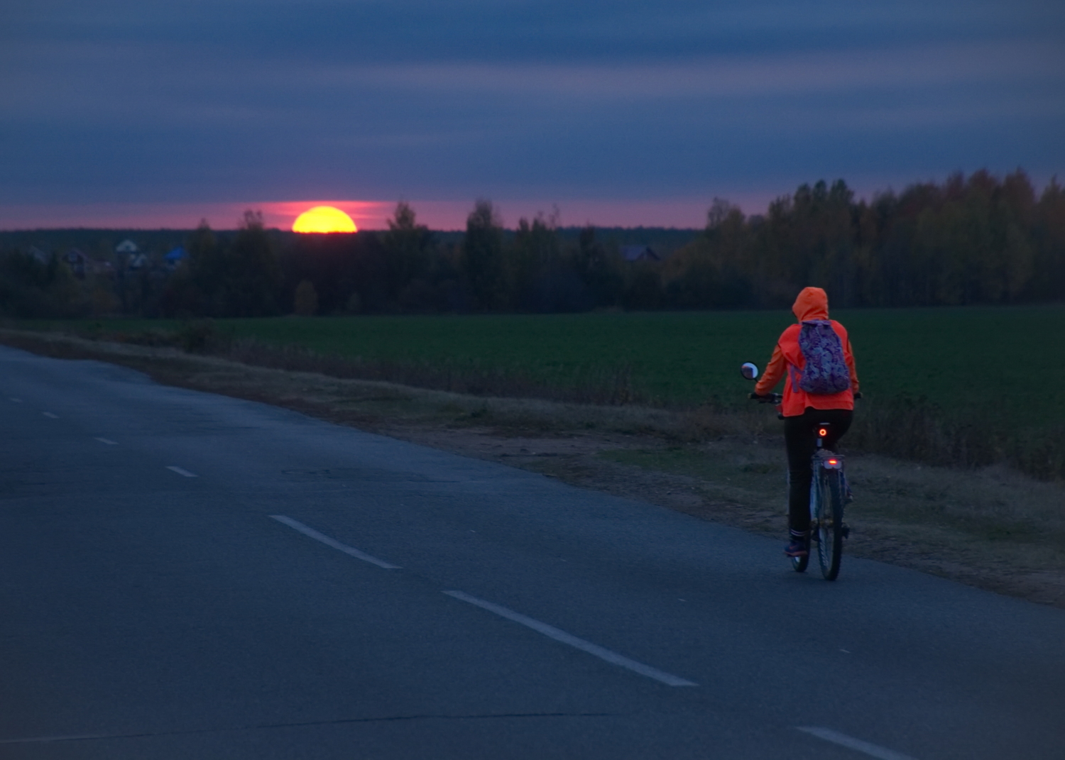 Дорога домой