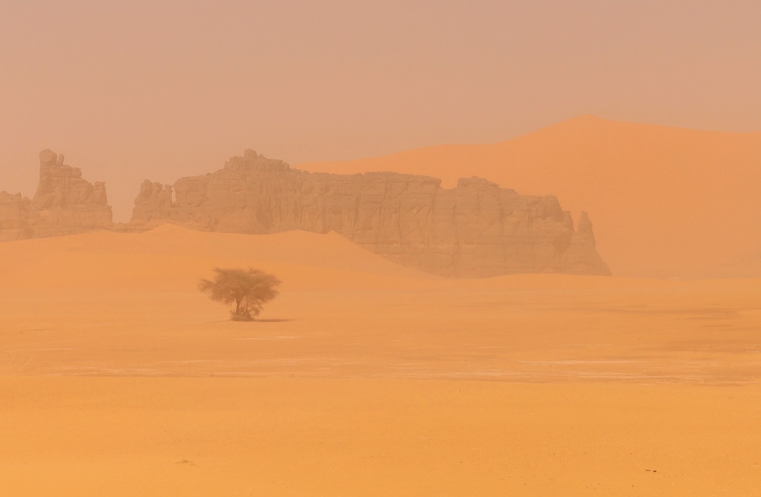 Стон пустыни