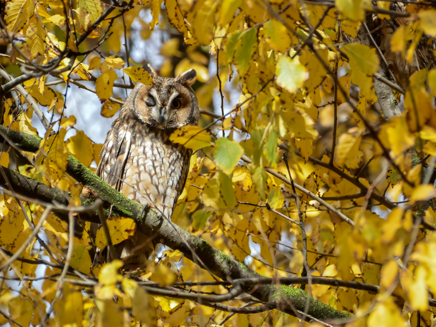 Погасите свет!
