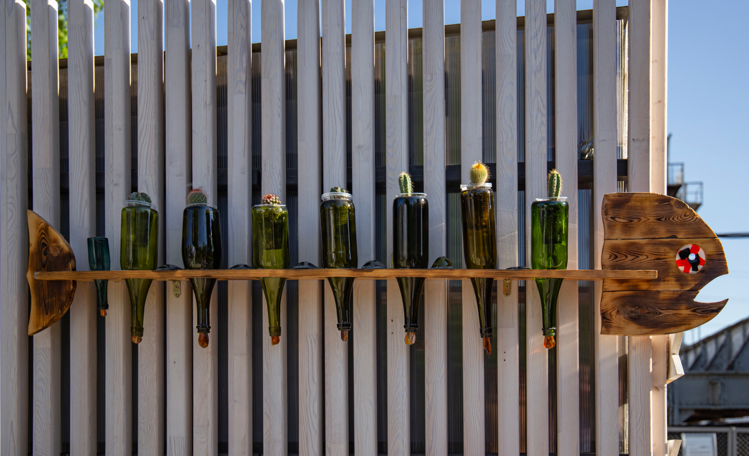 Просто вторая жизнь бутылочек))