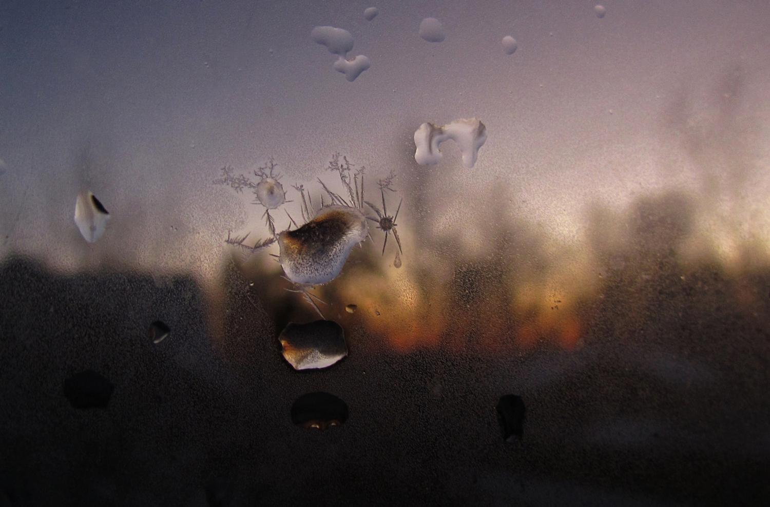 Цыплёнок, или увиденное на закате