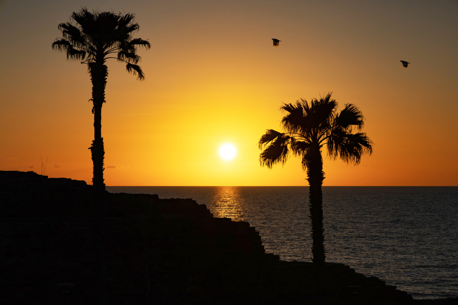 Графика заката