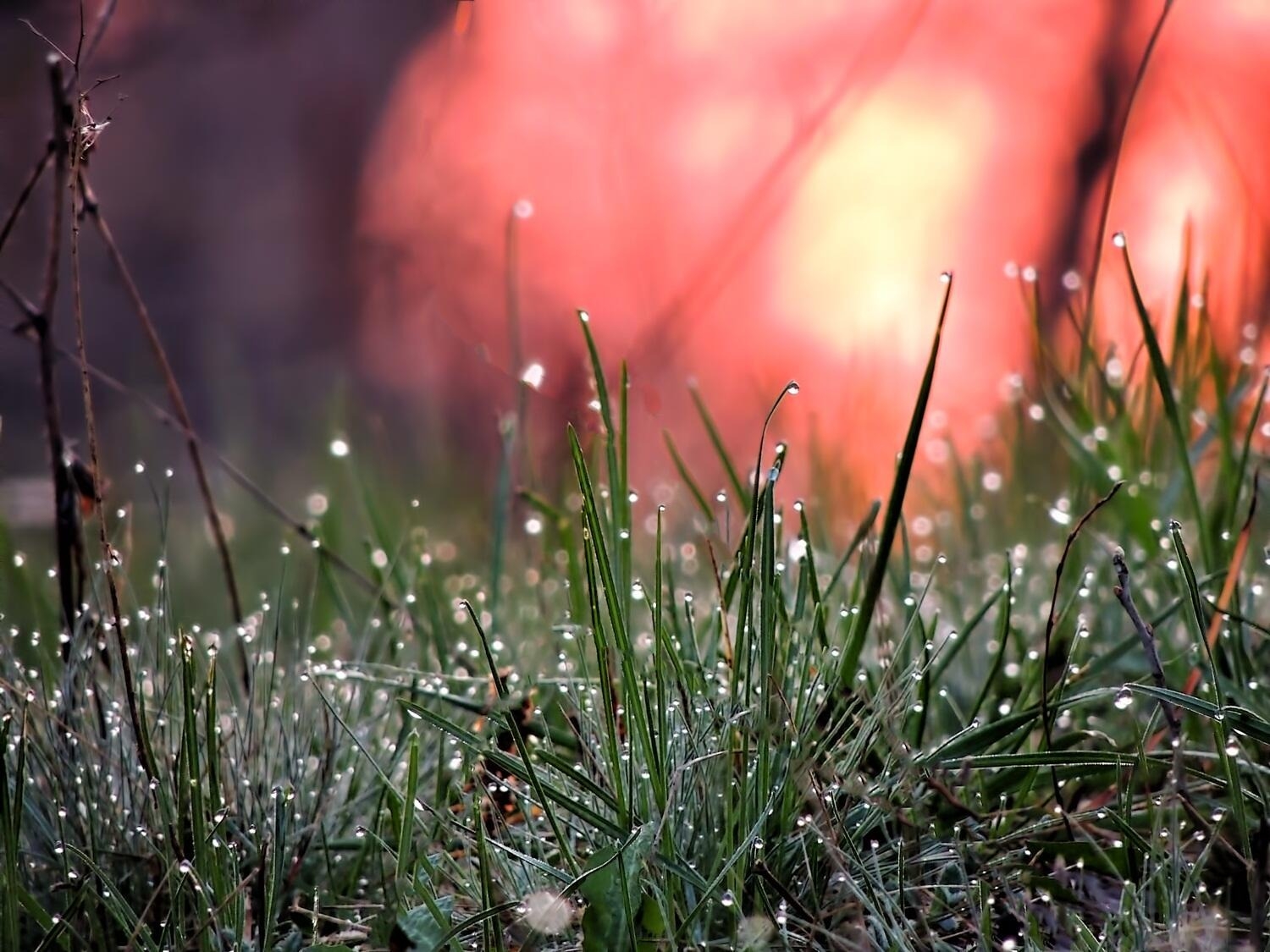 Весеннее утро