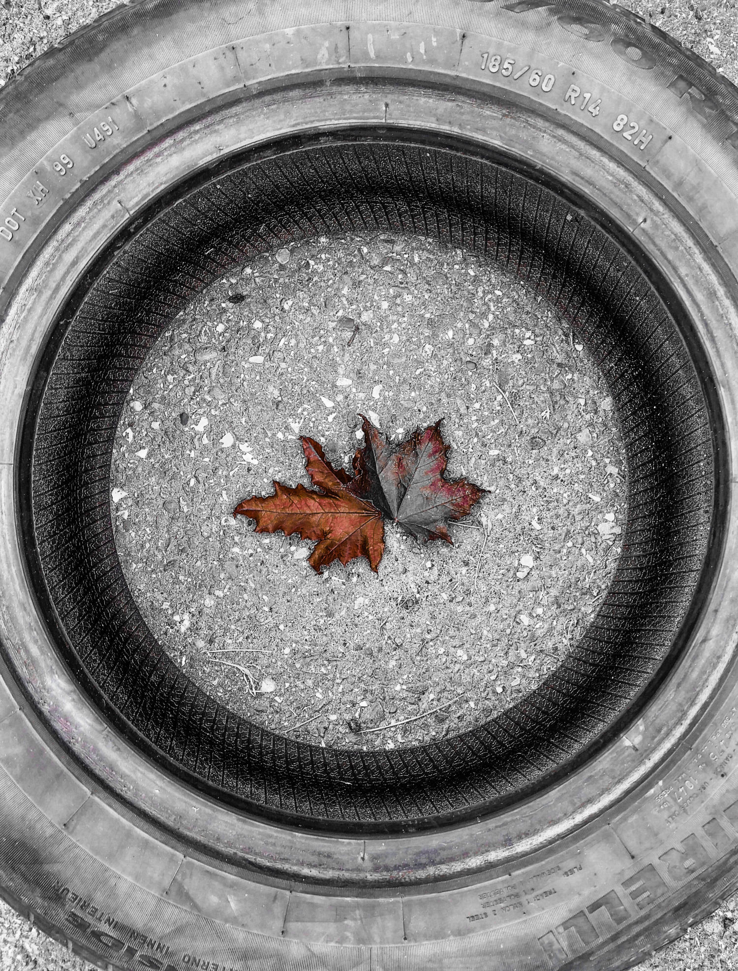 Осень в большом городе