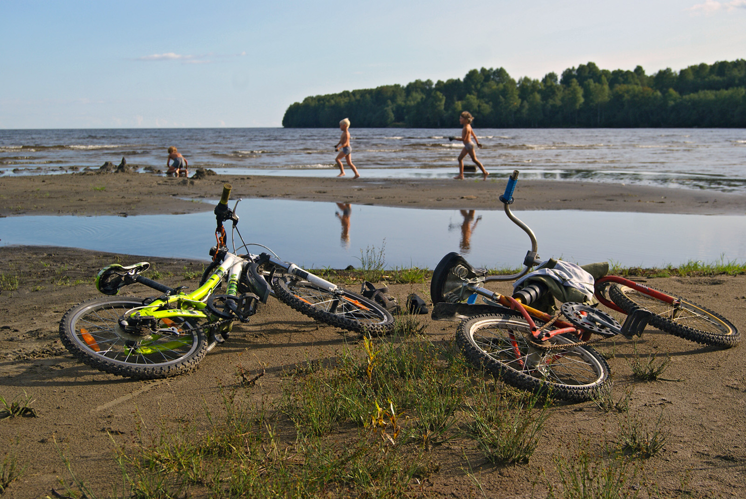 Деревенское лето