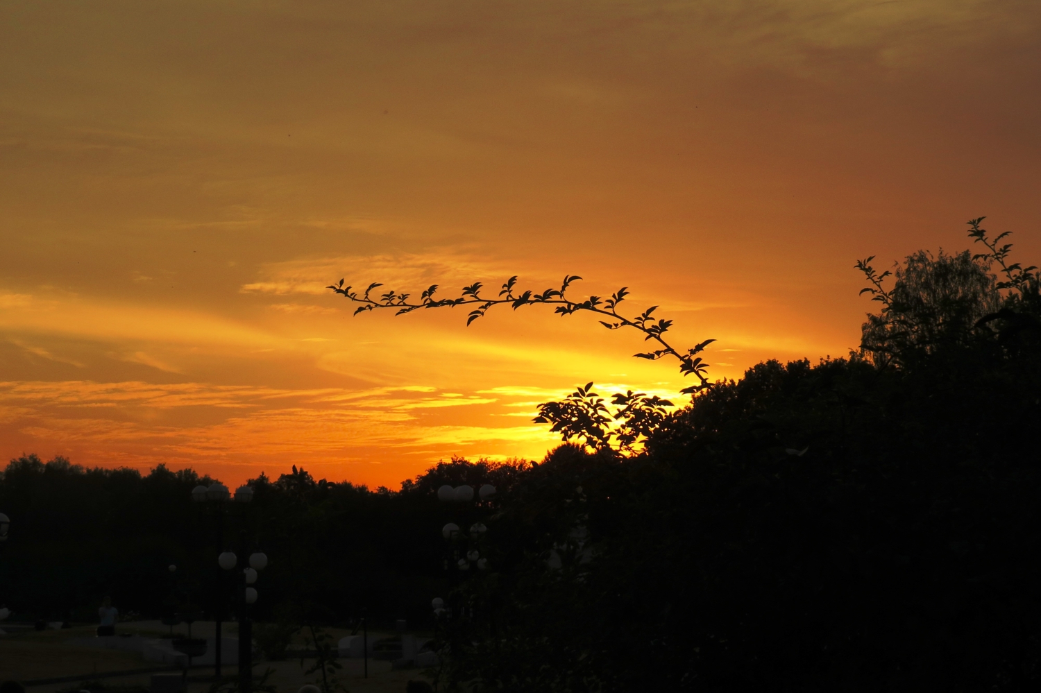 В закатном блеске пламенеет снова лето