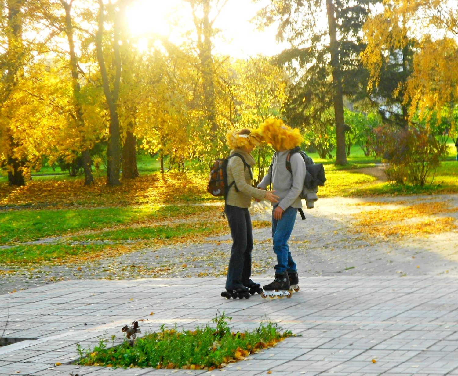 Осенние сны