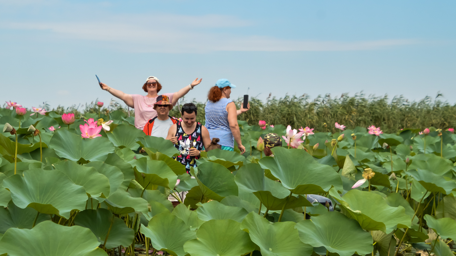 Встреча с прекрасным