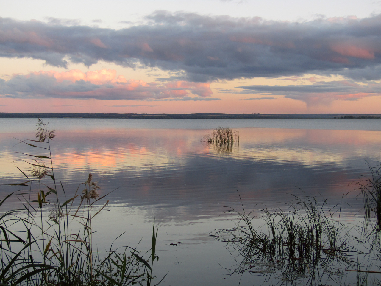 Розовый вечер