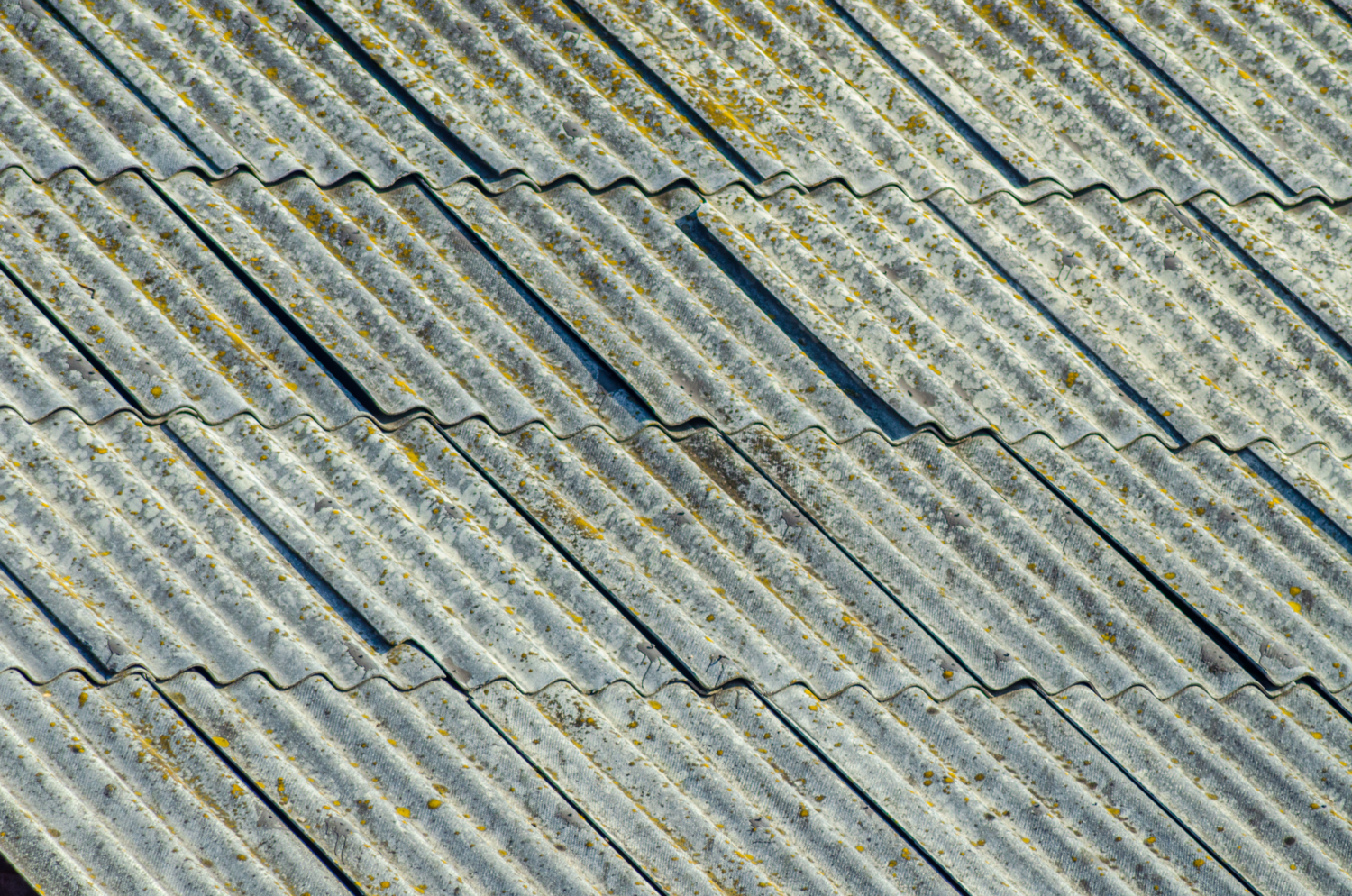 Просто крыша