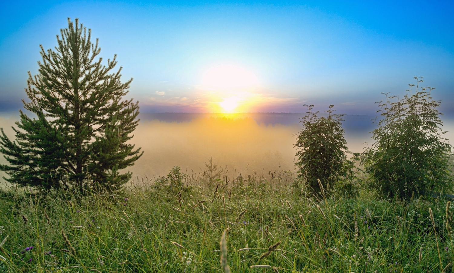 Не тревожь суетой это нежное утро!
