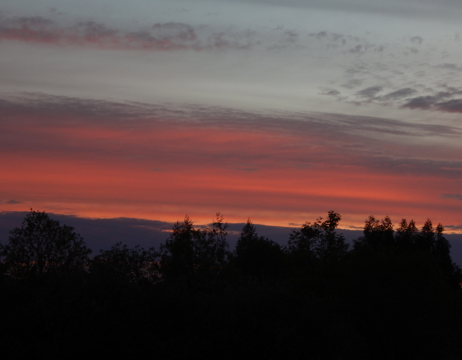 Закатилось