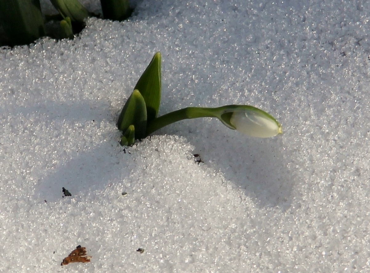 просто март