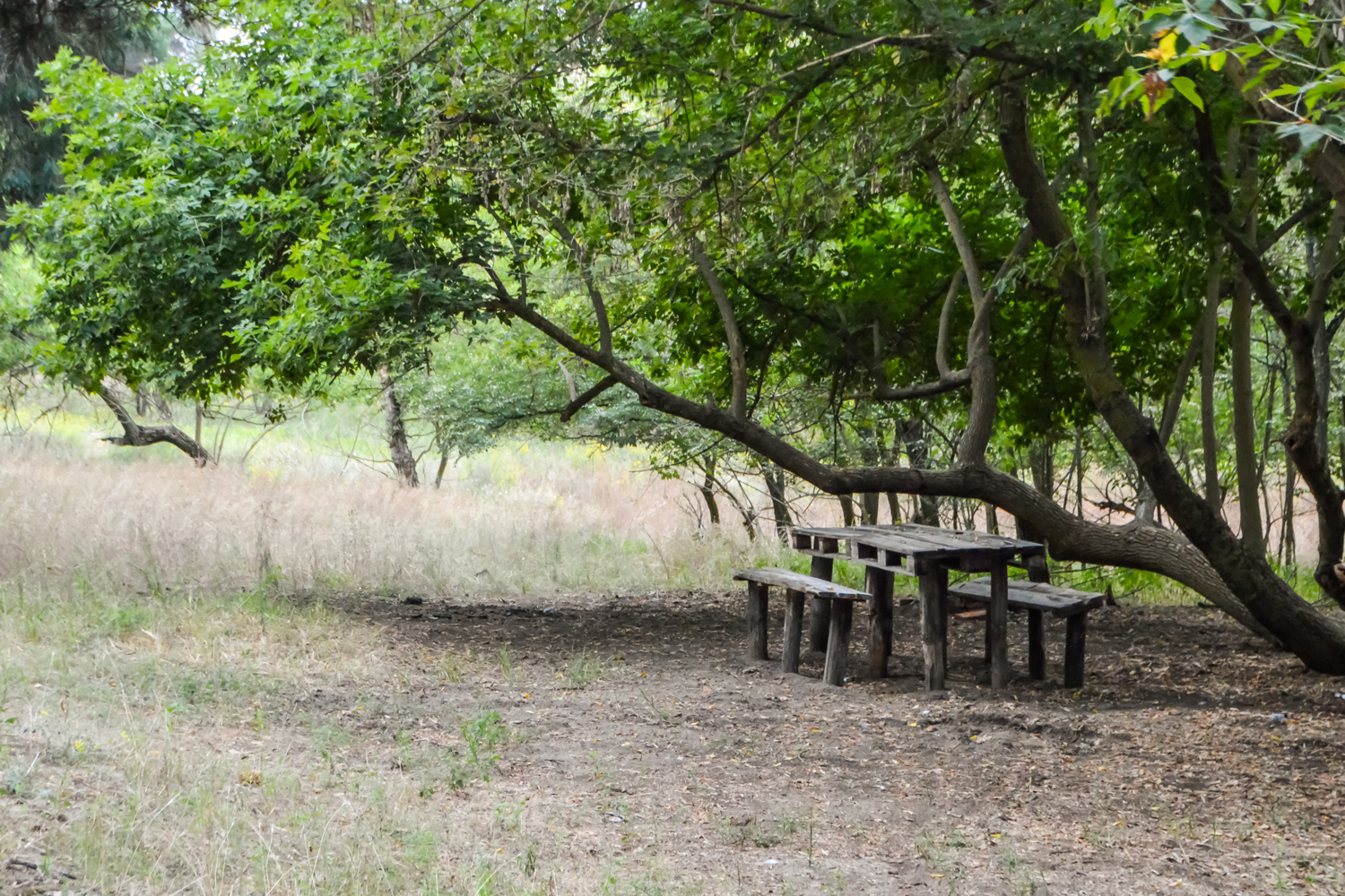 Я его слепила из того, что было...