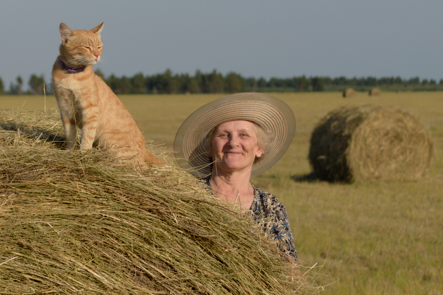 Играют в прятки...