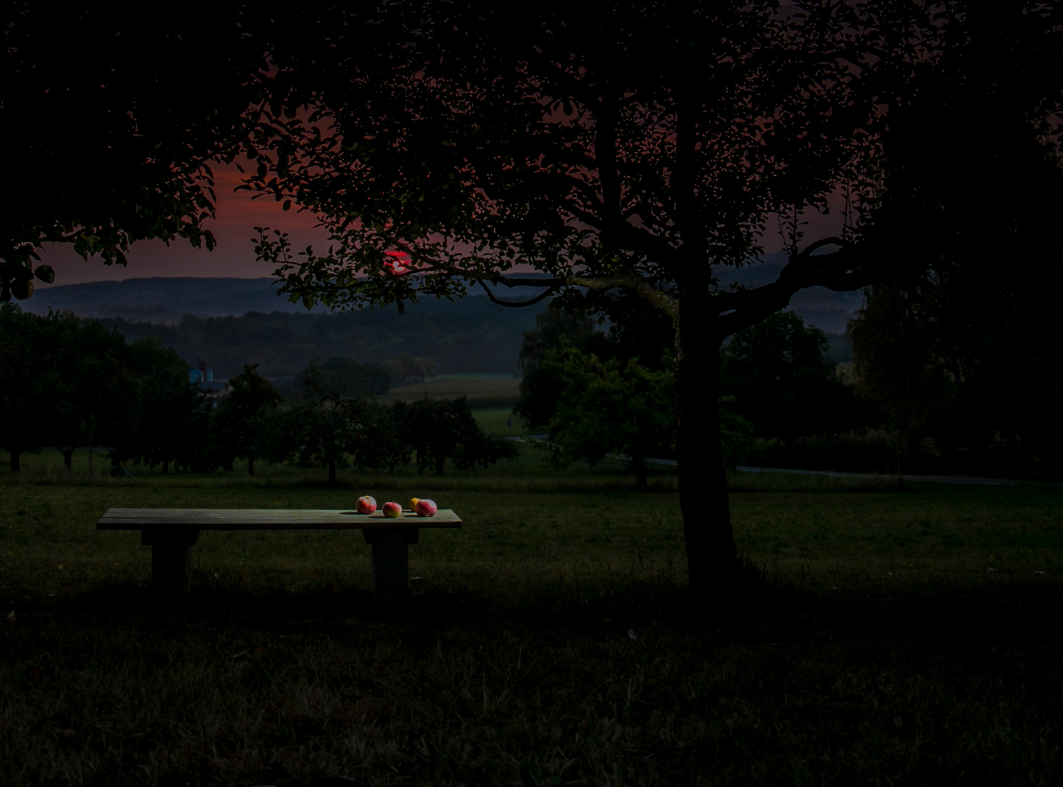 пейзаж с натюрмортом