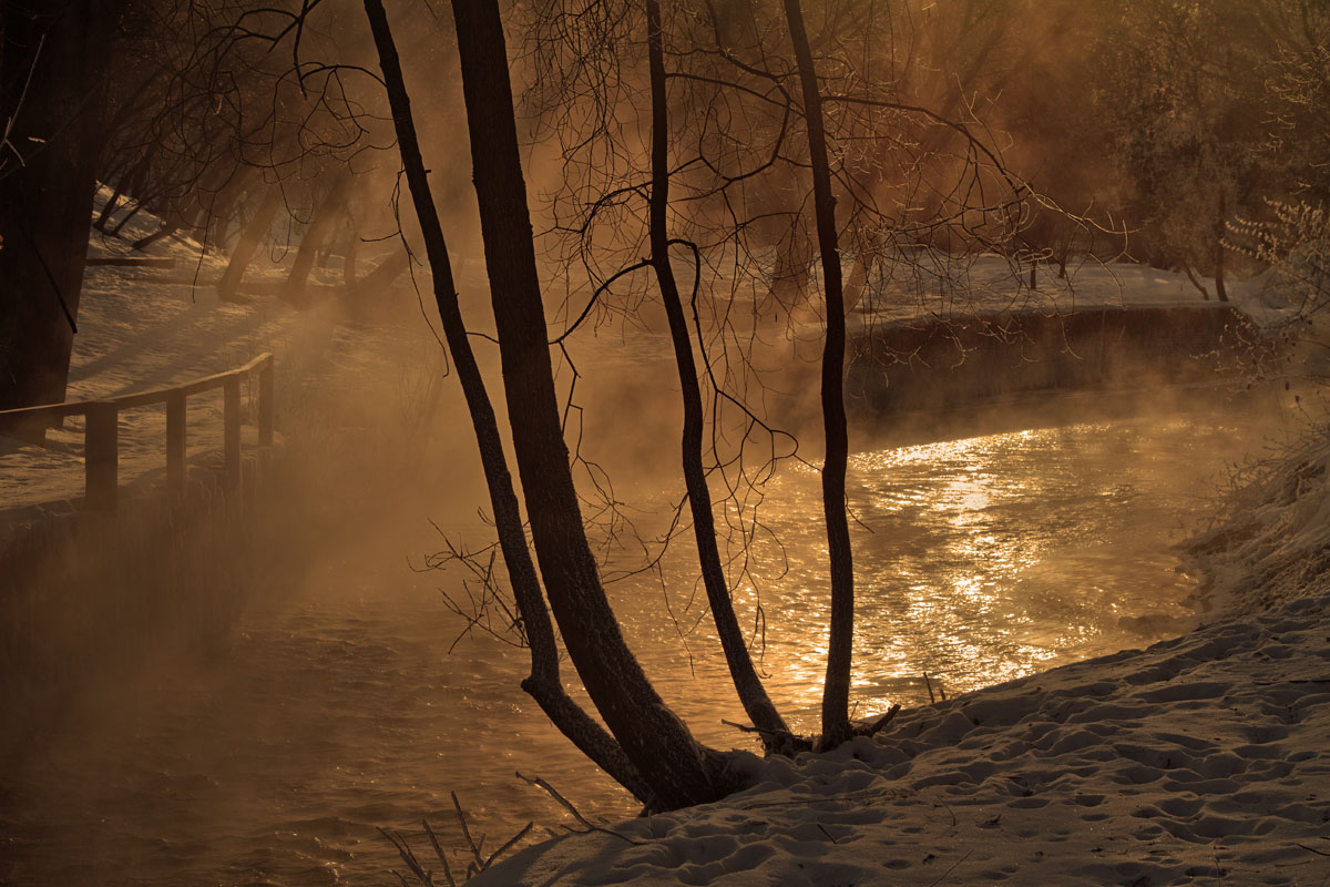 день уходящий