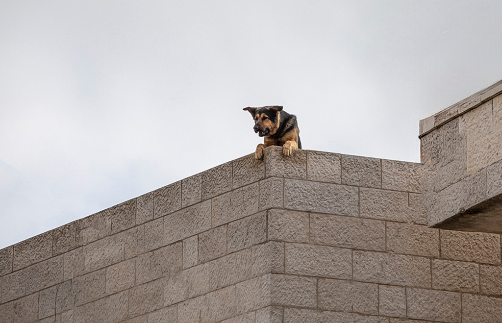 "Просто брехня"