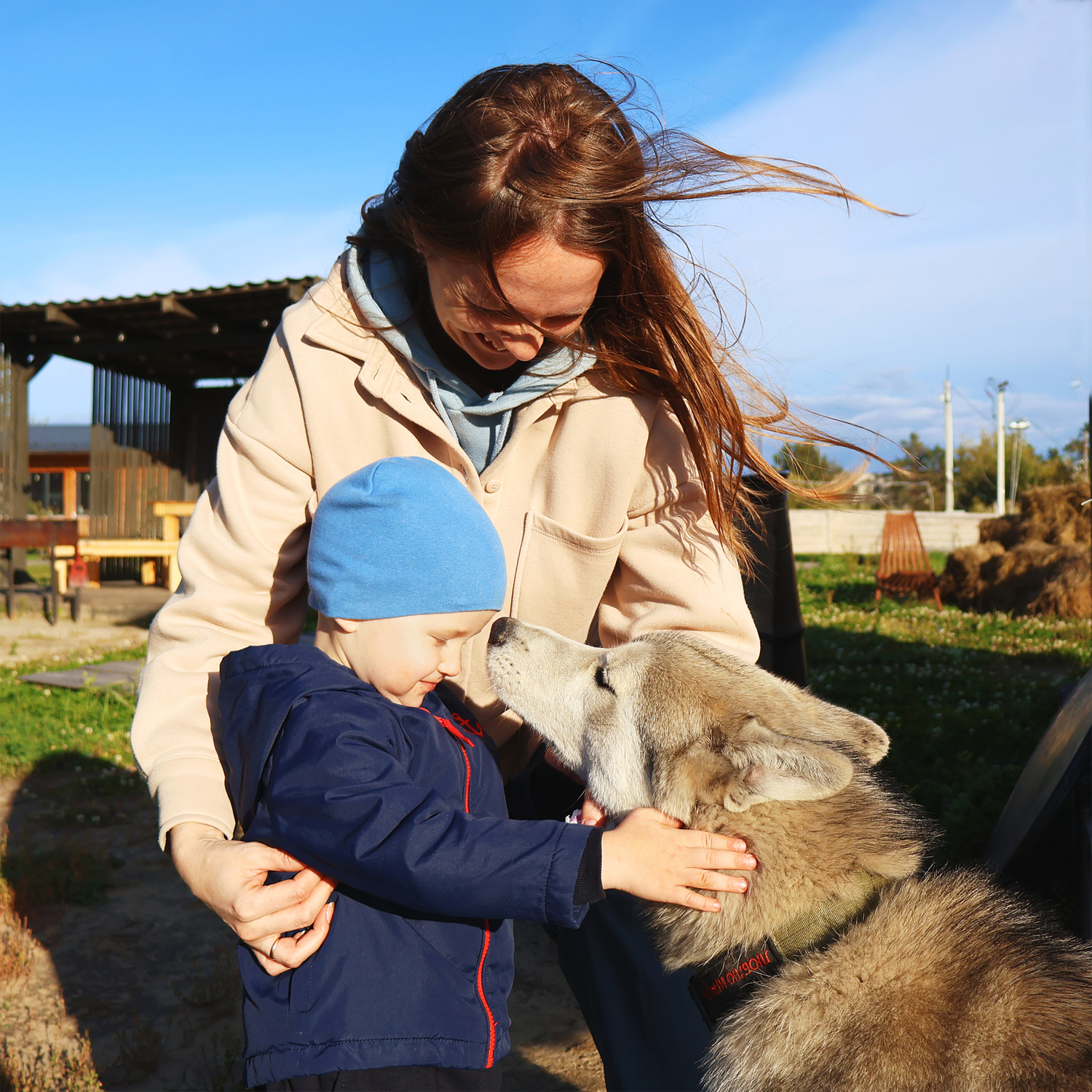 Знакомство с новым другом