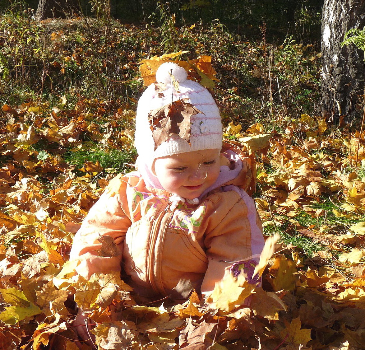 Осенняя радость