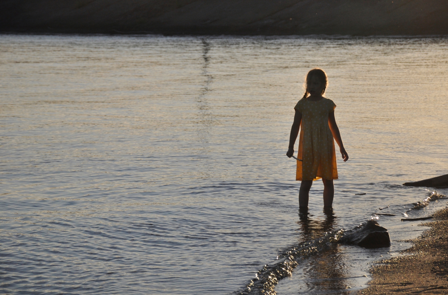 Играя в золоте заката