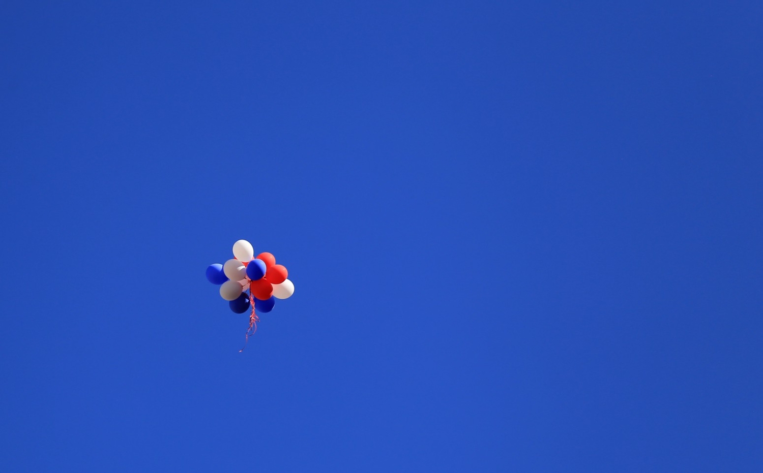 Триколор на синем