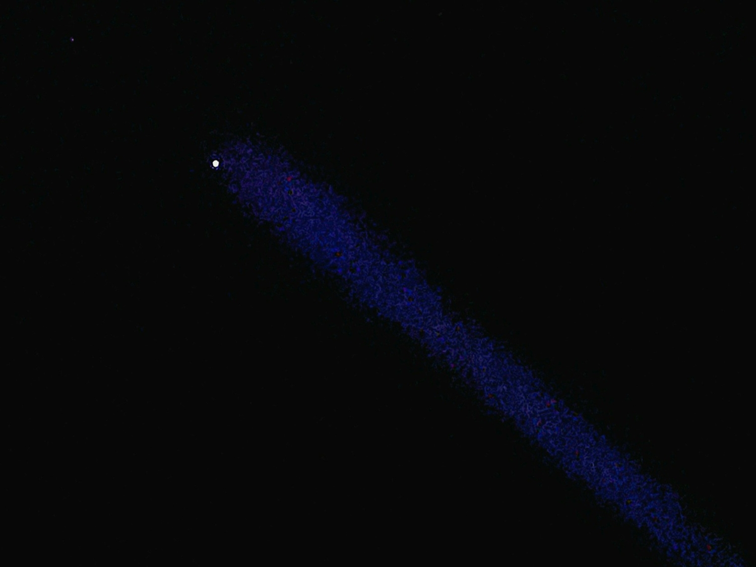 Послание звезды