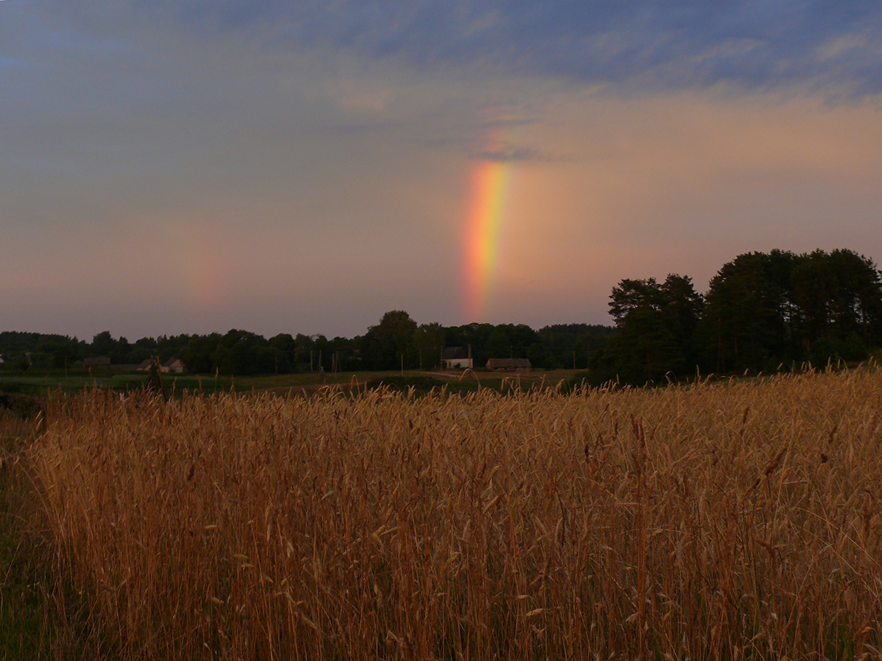 За околицей