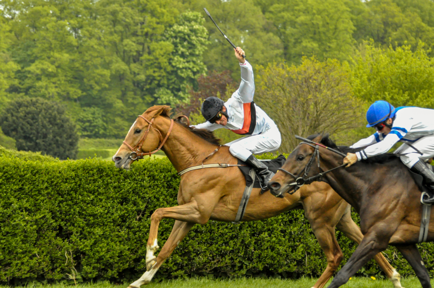 вся Ваша жизнь жестокая игра