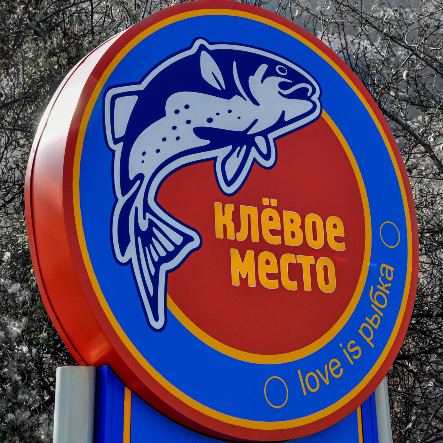 на безрыбьё и рак рыба