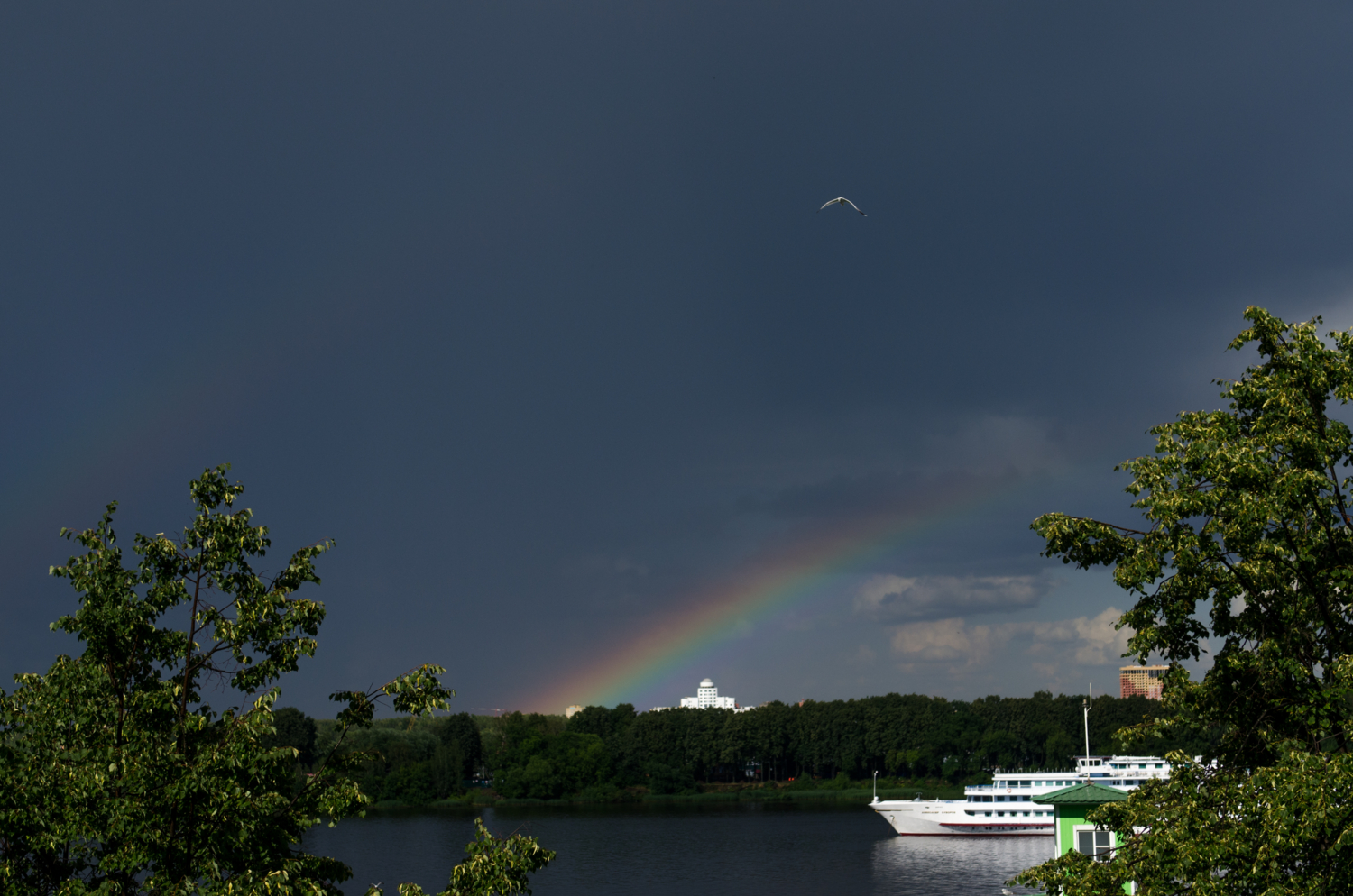 Однажды летом в Ярославле...