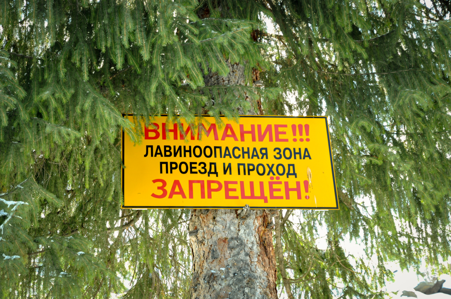 туда низзя, сюда низзя