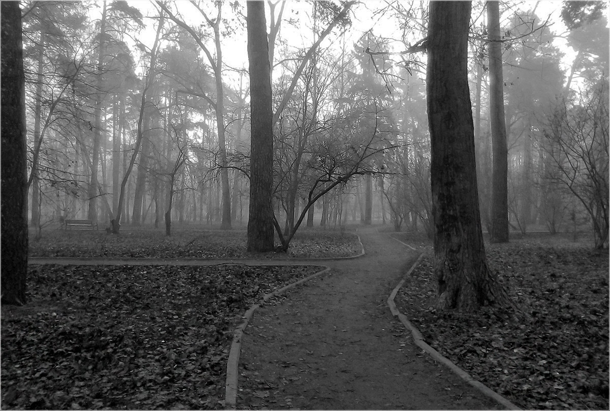 В парке туман...