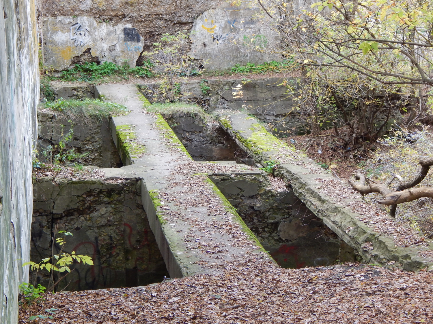 Не гуляйте по заброшенным местам. Это опасно!