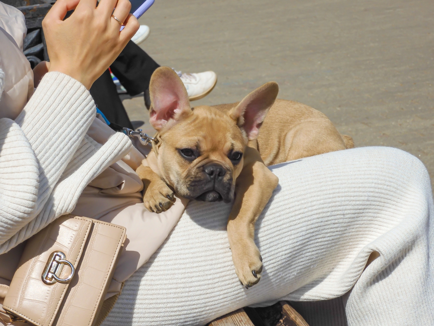 Мягкая нежность...