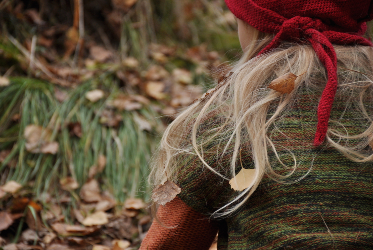 Уютная осень