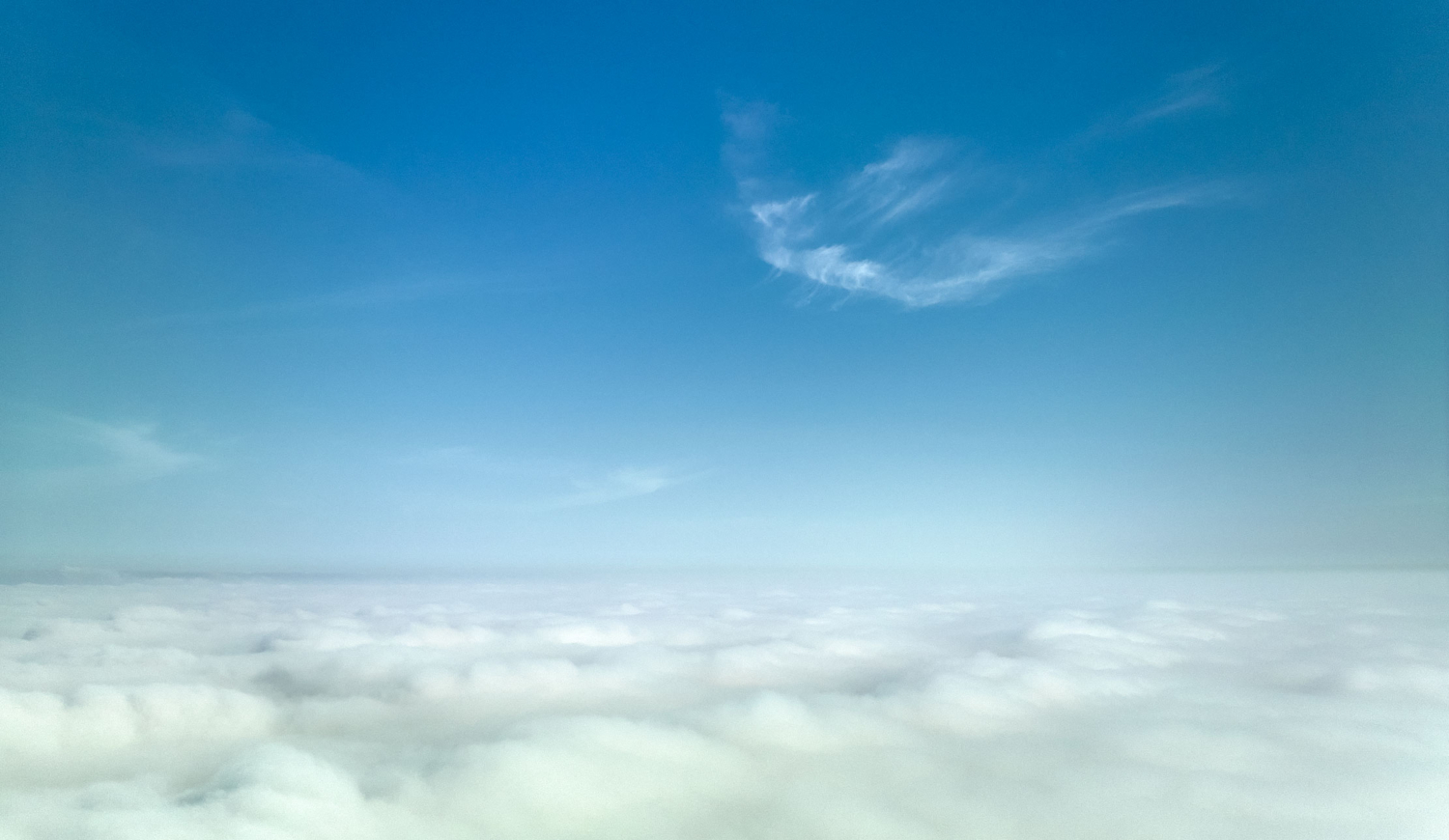 Утренний сон ...