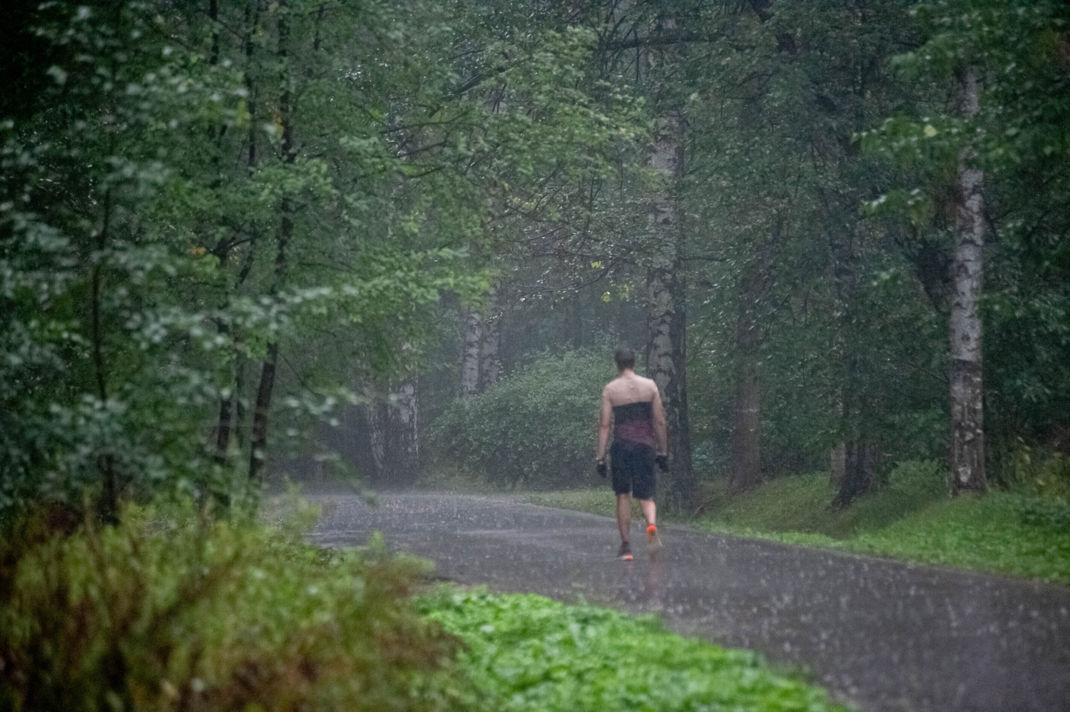 Ливень - это круто!