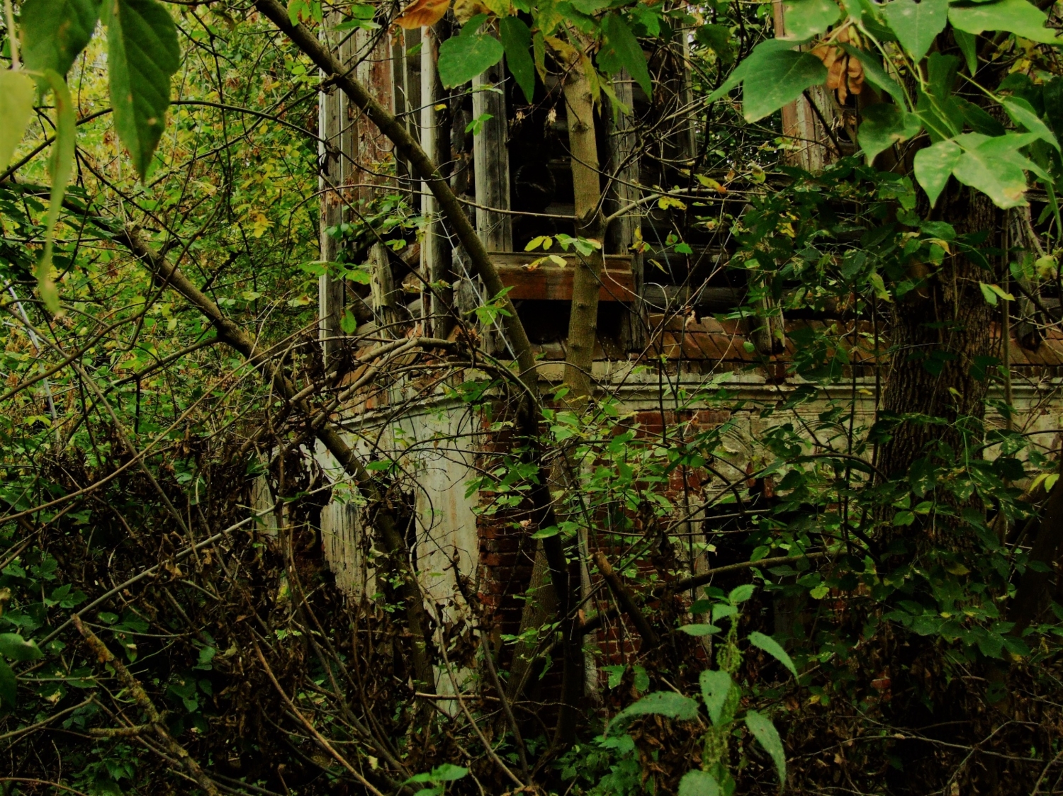 И быльем поросло