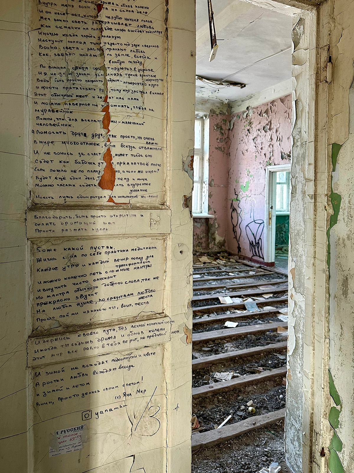 И зимой не всходят подсолнухи…