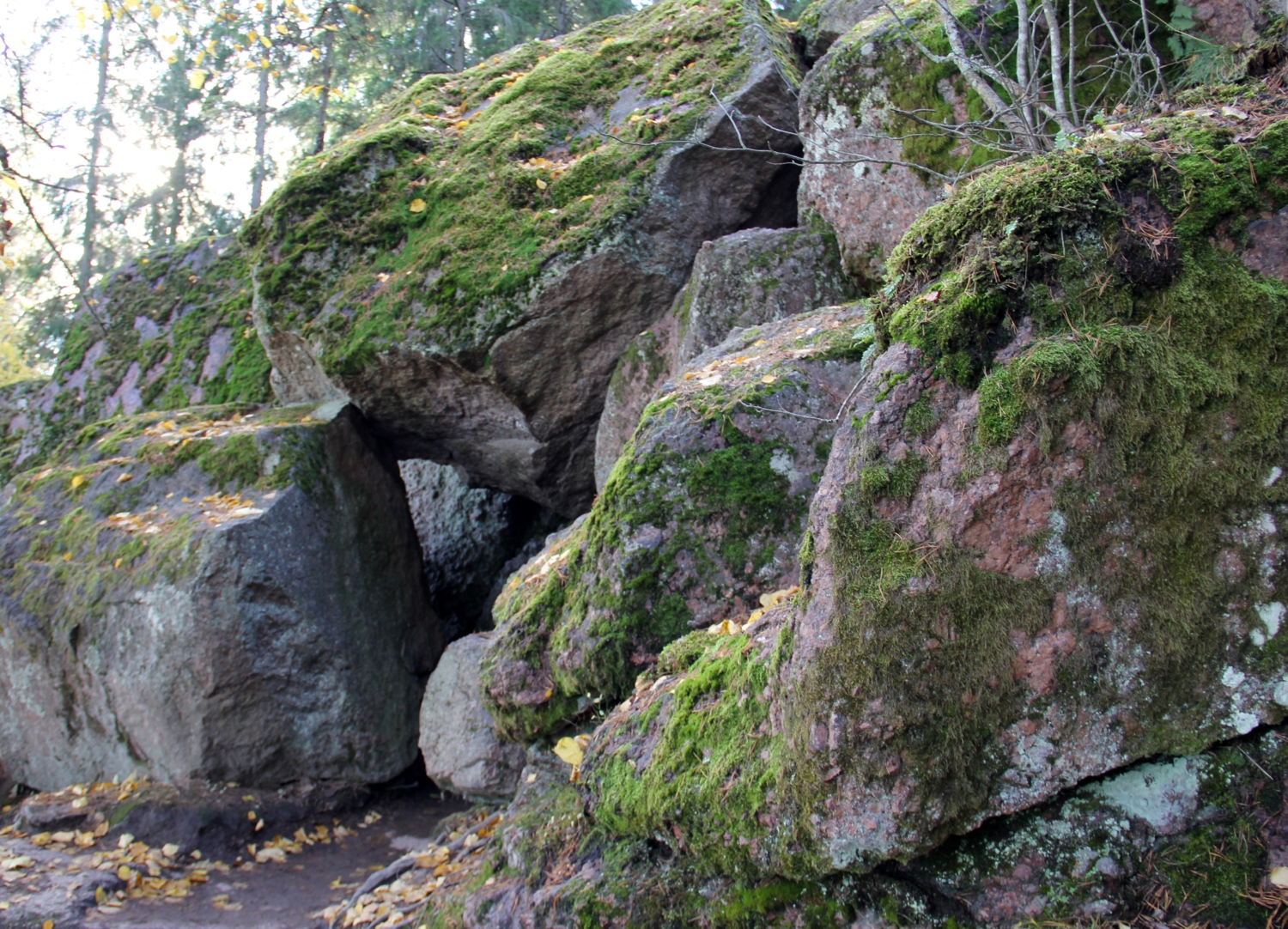 Сила природы