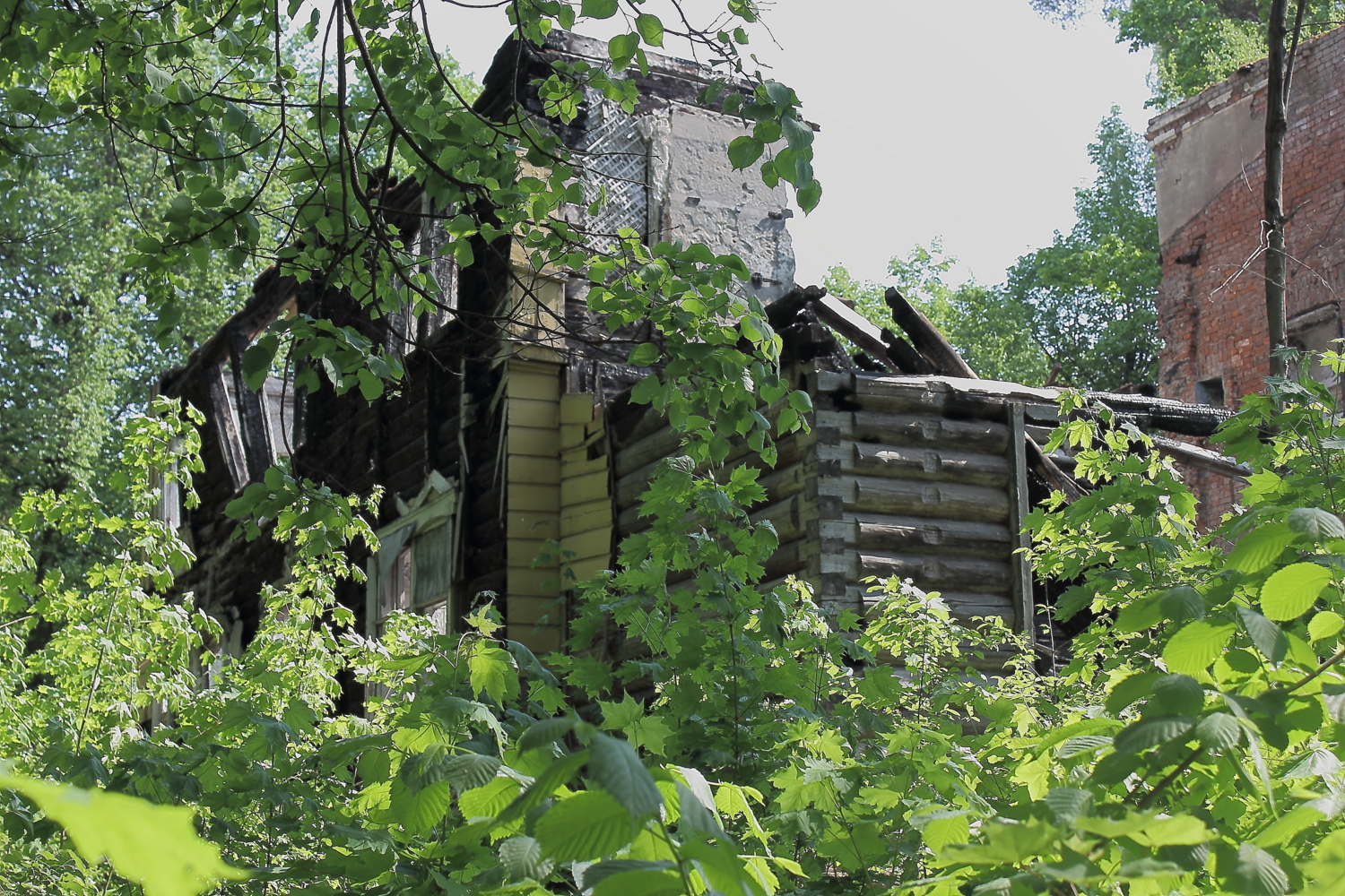 Конец истории...