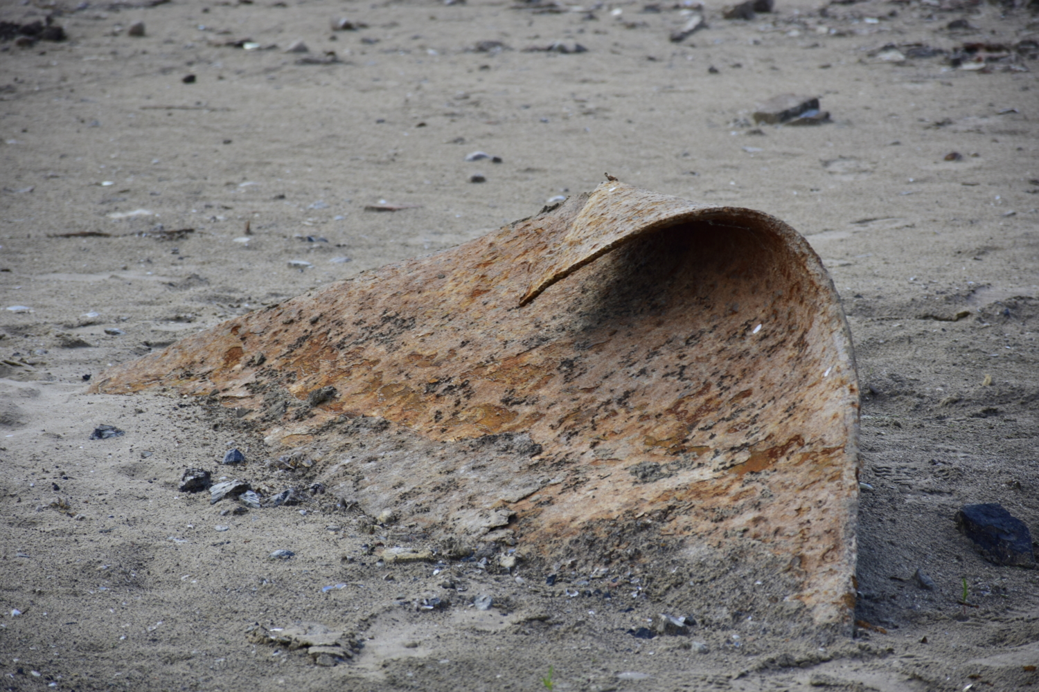 время разберется со всем