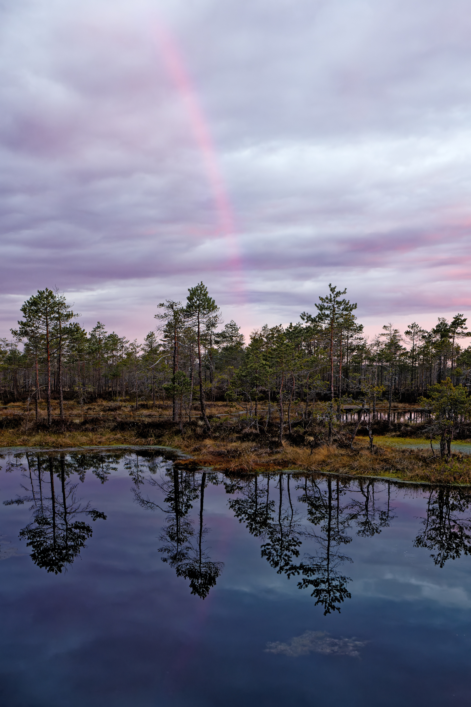 Дорассветный look