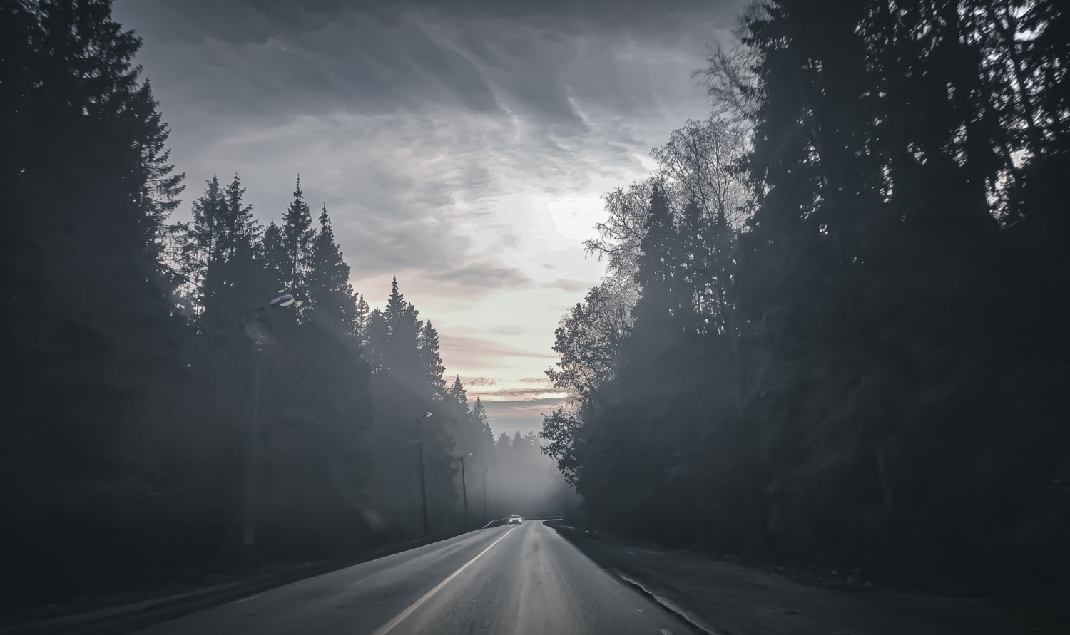 Сквозь туман