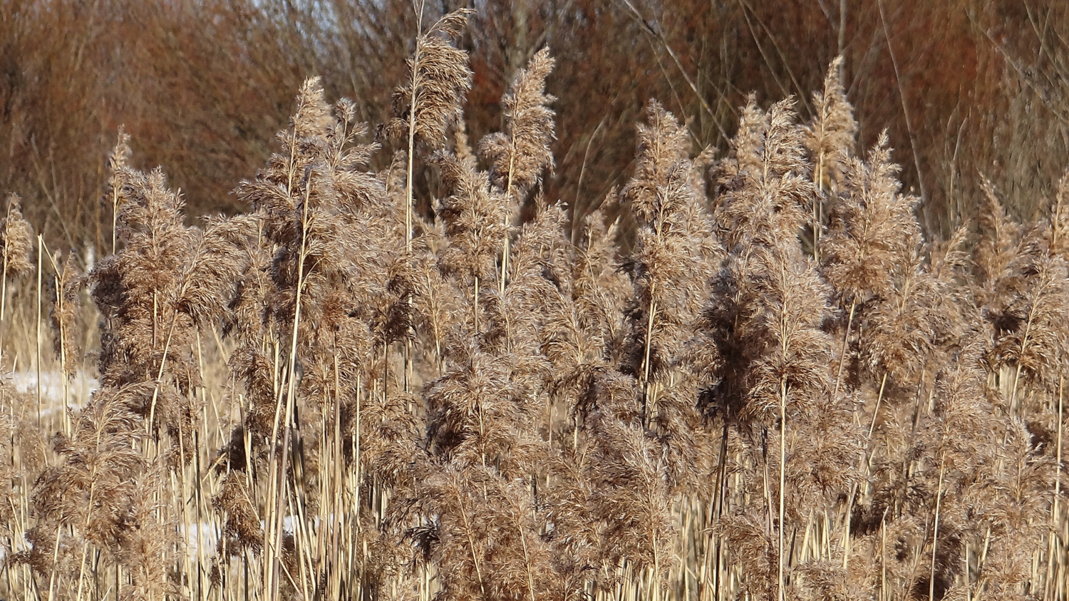 Даже шуршит мягко!