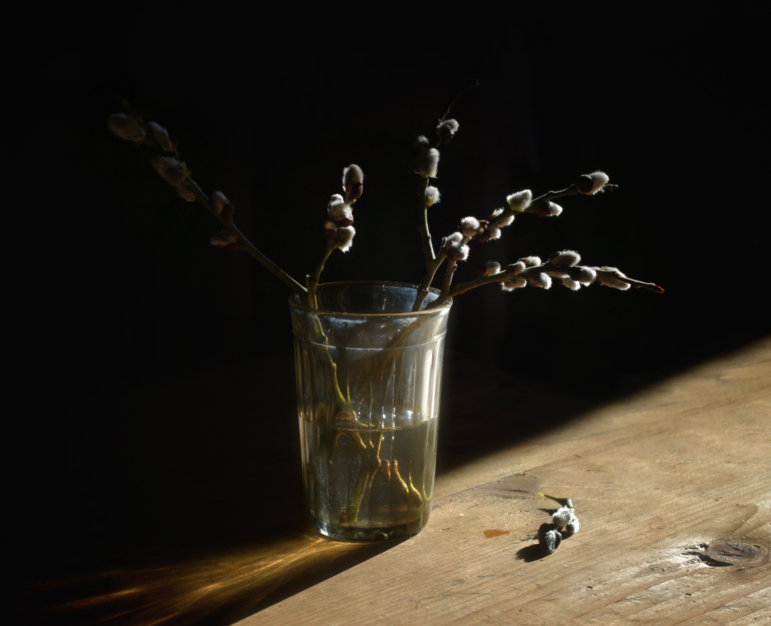 Тьма - это отсутствие света