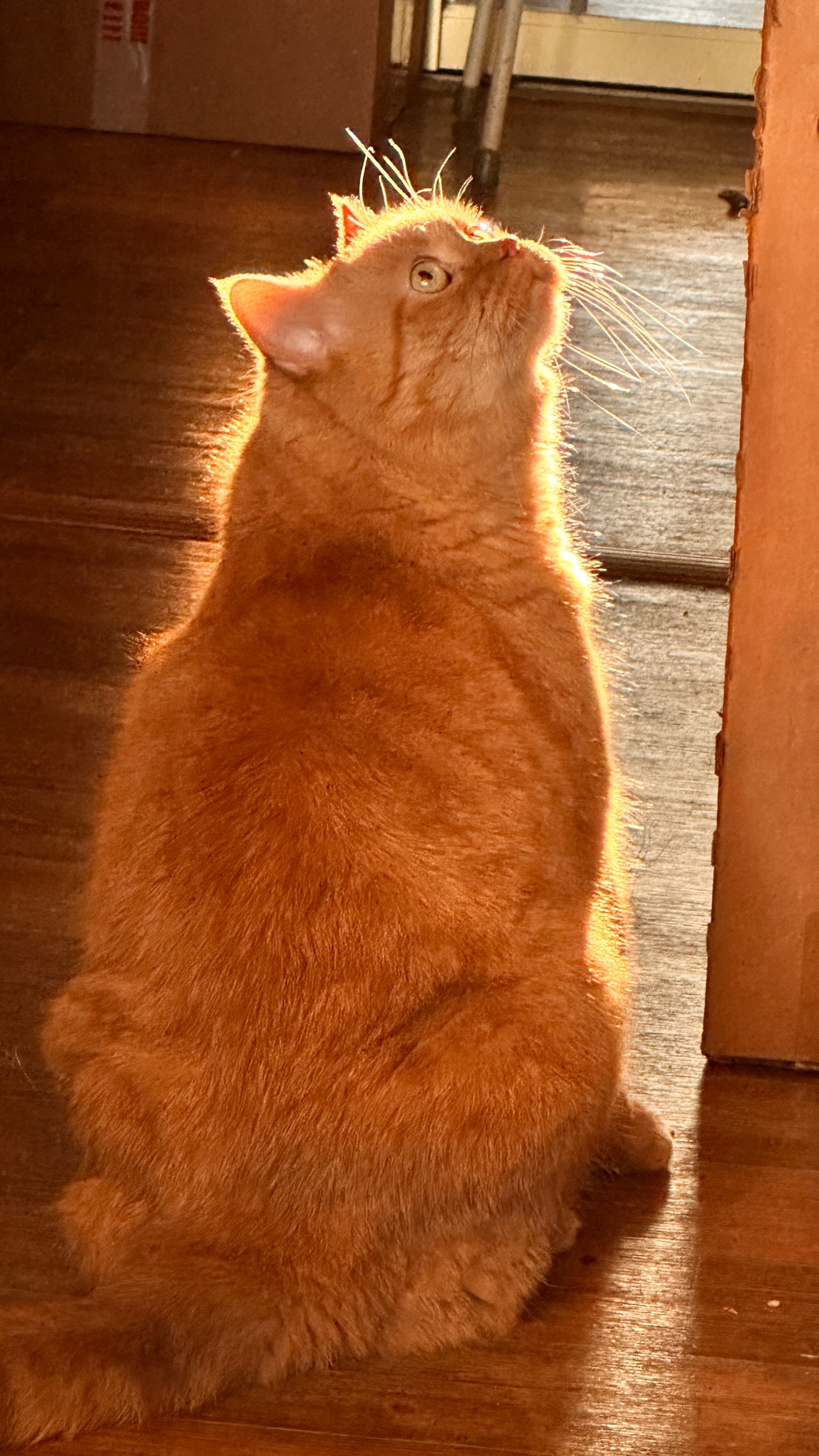 Наш солнечный лучик